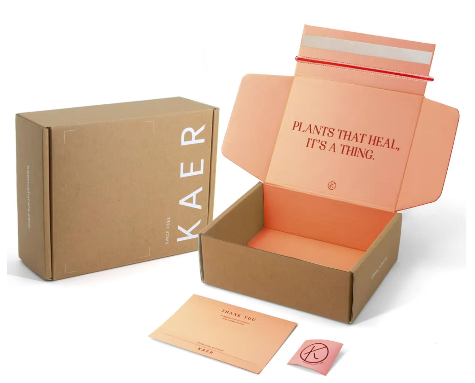 Kraft mailing box.jpg